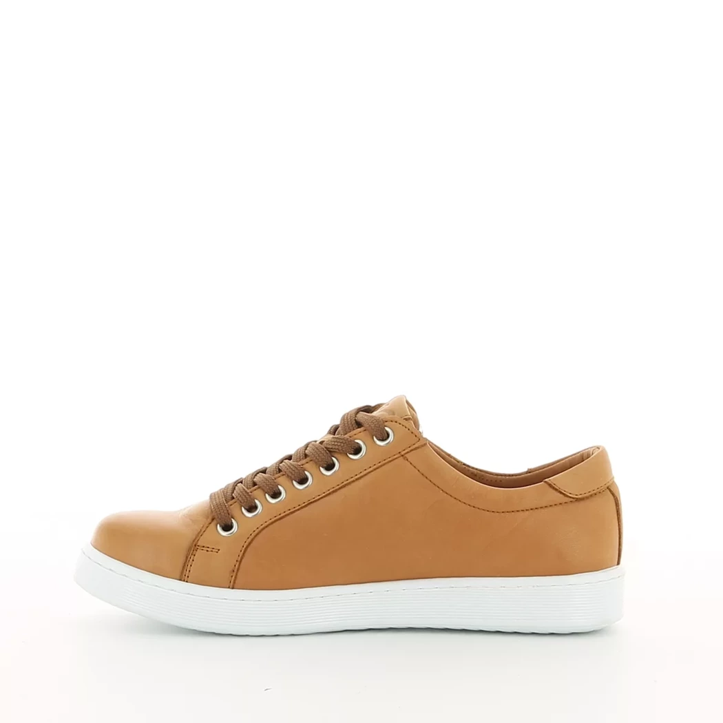 Image (4) de la chaussures Andrea Conti - Baskets Cuir naturel / Cognac en Cuir