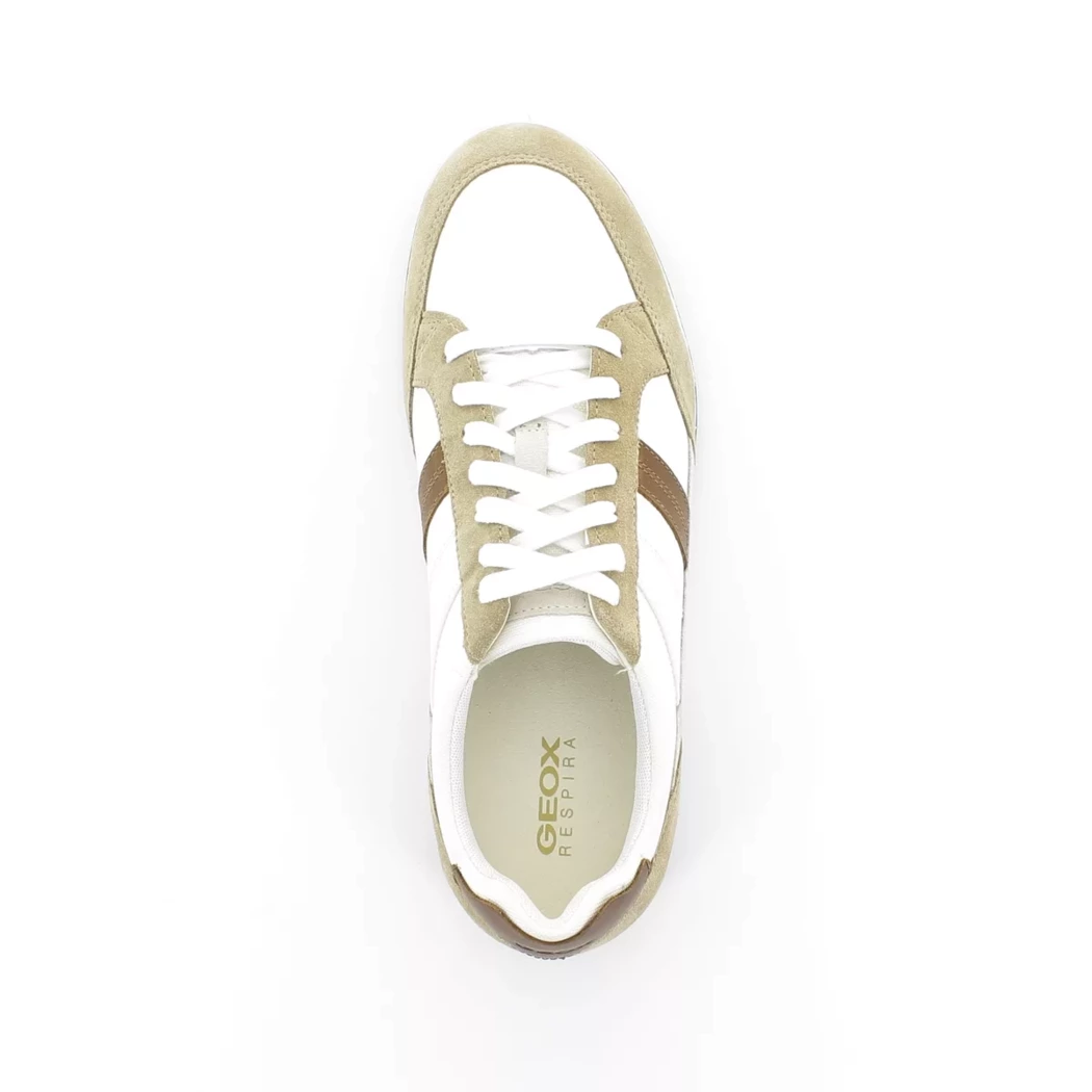 Image (6) de la chaussures Geox - Baskets Blanc en Cuir